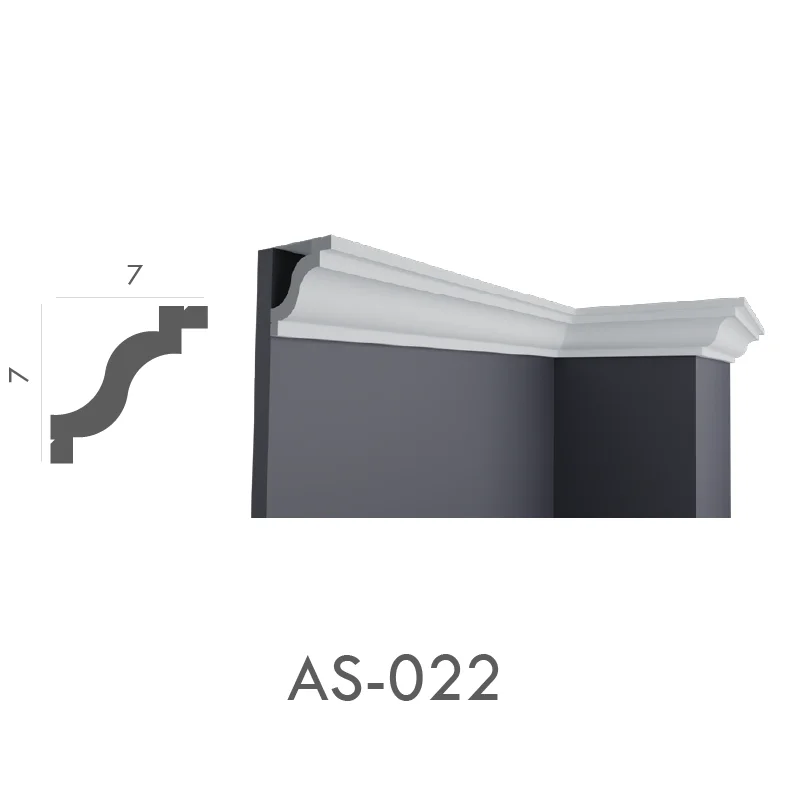 AS_022
