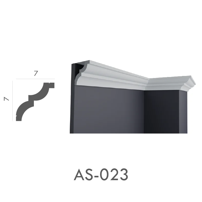 AS_023