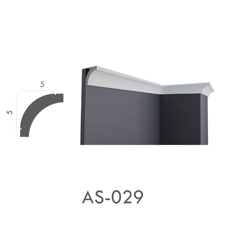 AS_029