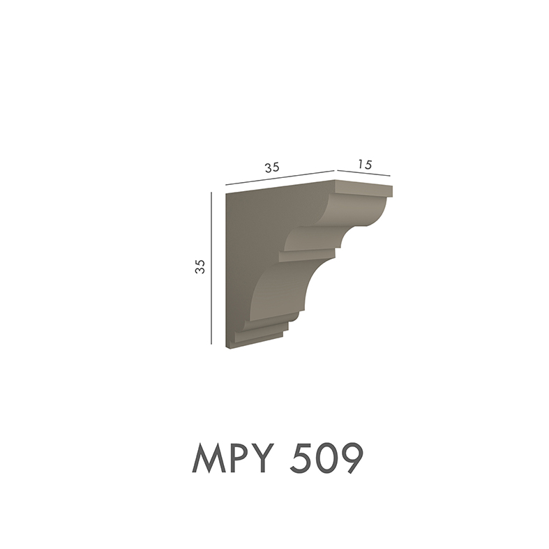 MPY_509