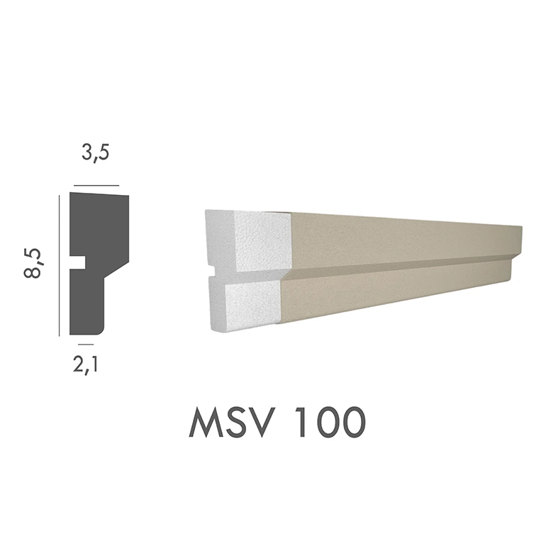 MSV_100