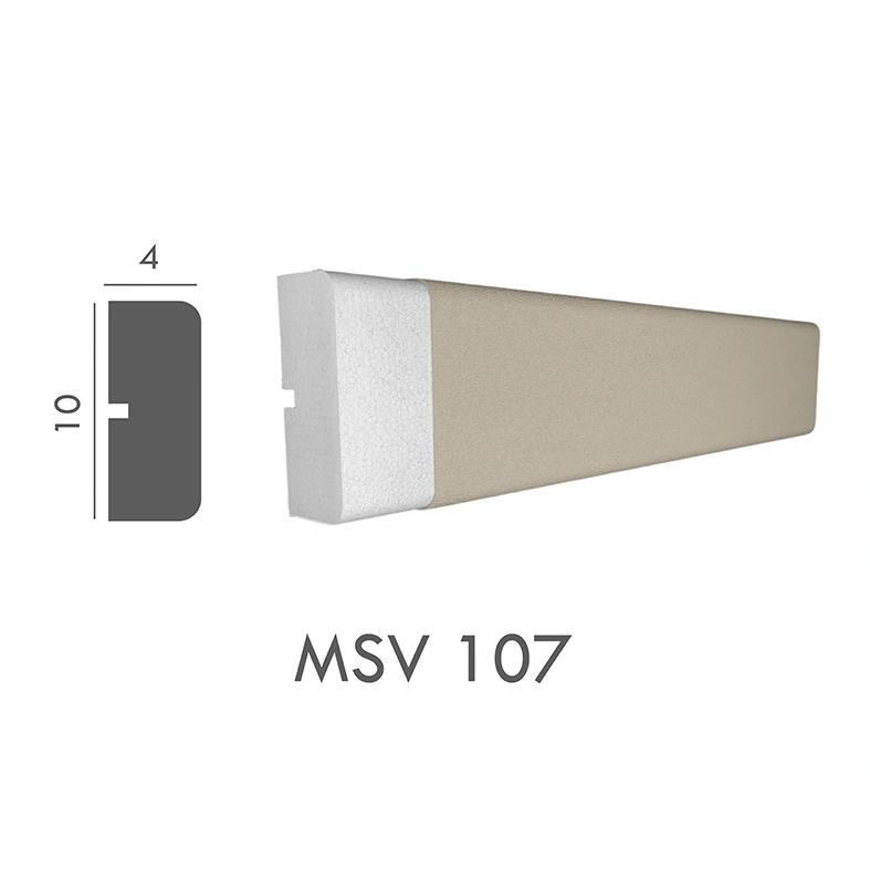 MSV_107