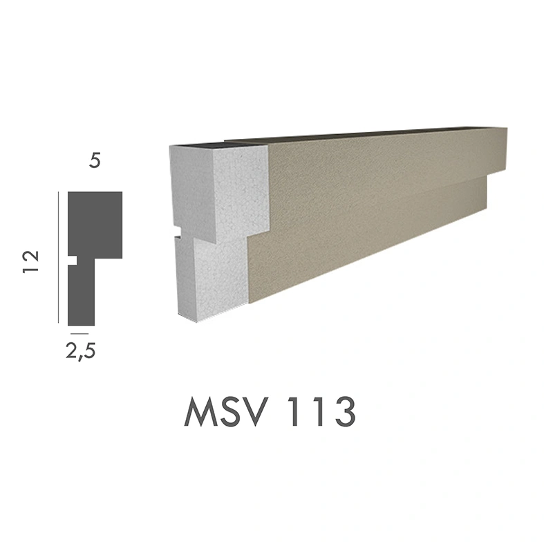 MSV_113