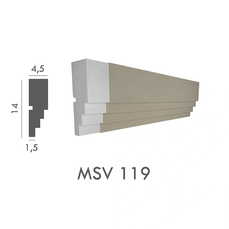 MSV_119