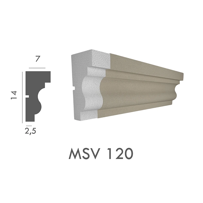MSV_120
