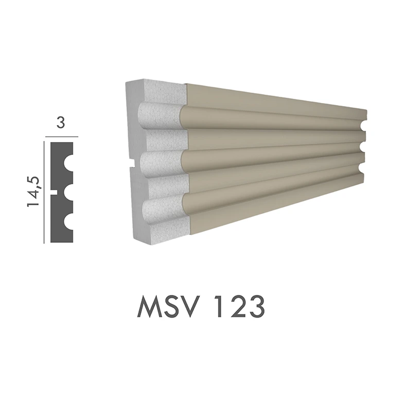 MSV_123